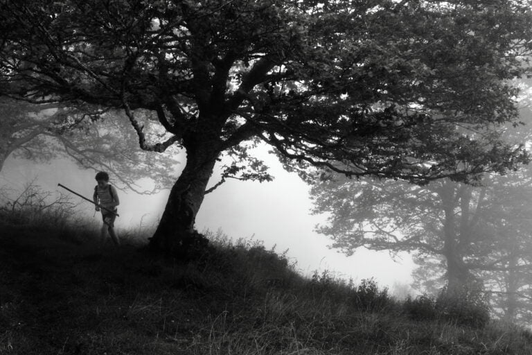 Portfolio - Atmosphère mystérieuse : Jeune garçon parmi les arbres, émergeant de la brume, une photographie en noir et blanc contrastée. Un moment capturé par le photographe de mariage pour créer des souvenirs uniques.